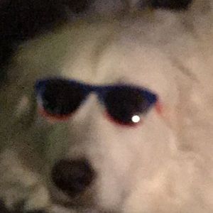 Meet your Posher, Avary